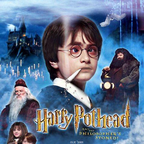 mackys harry pothead stoned